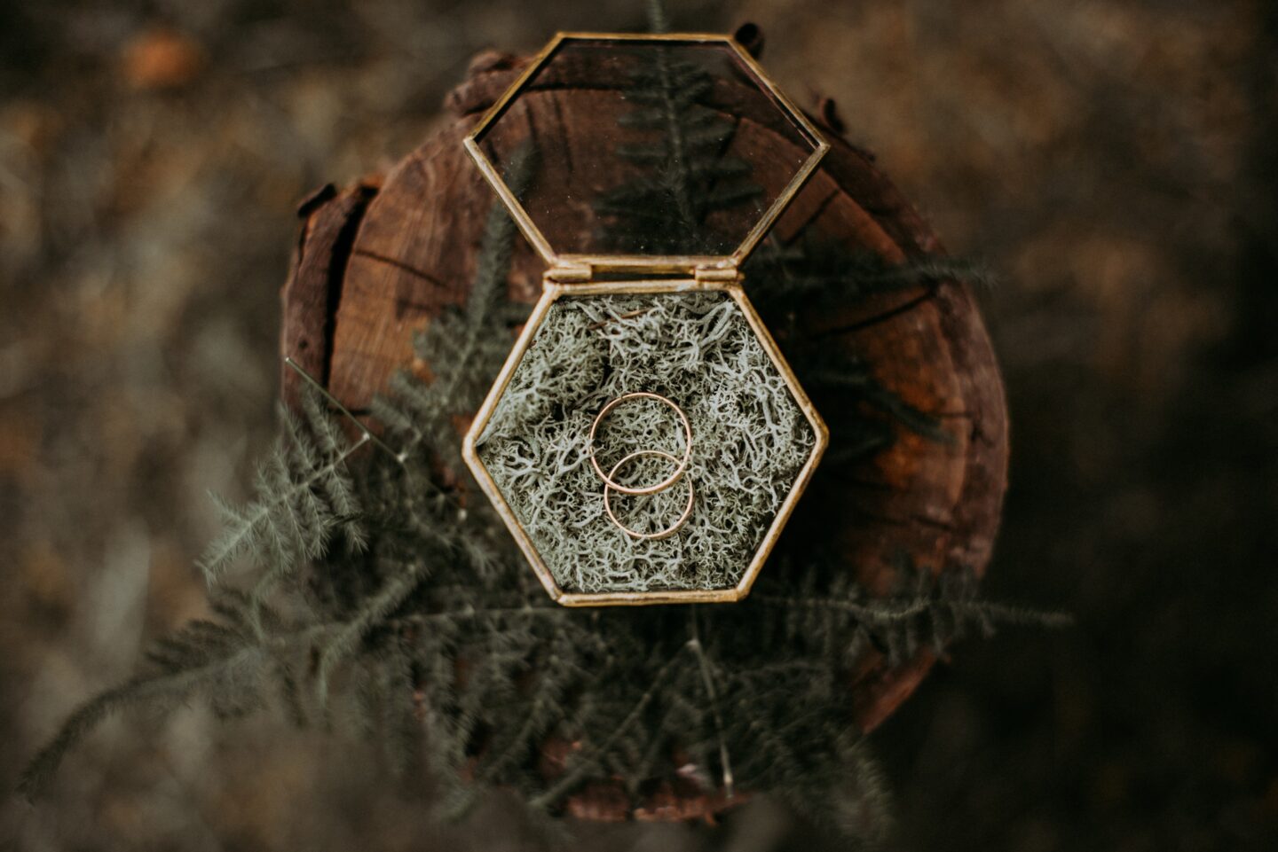 Wedding rings in a geometric box